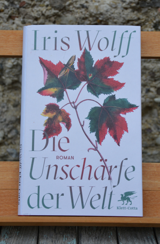 Iris Wolff: die Unschärfe der Welt