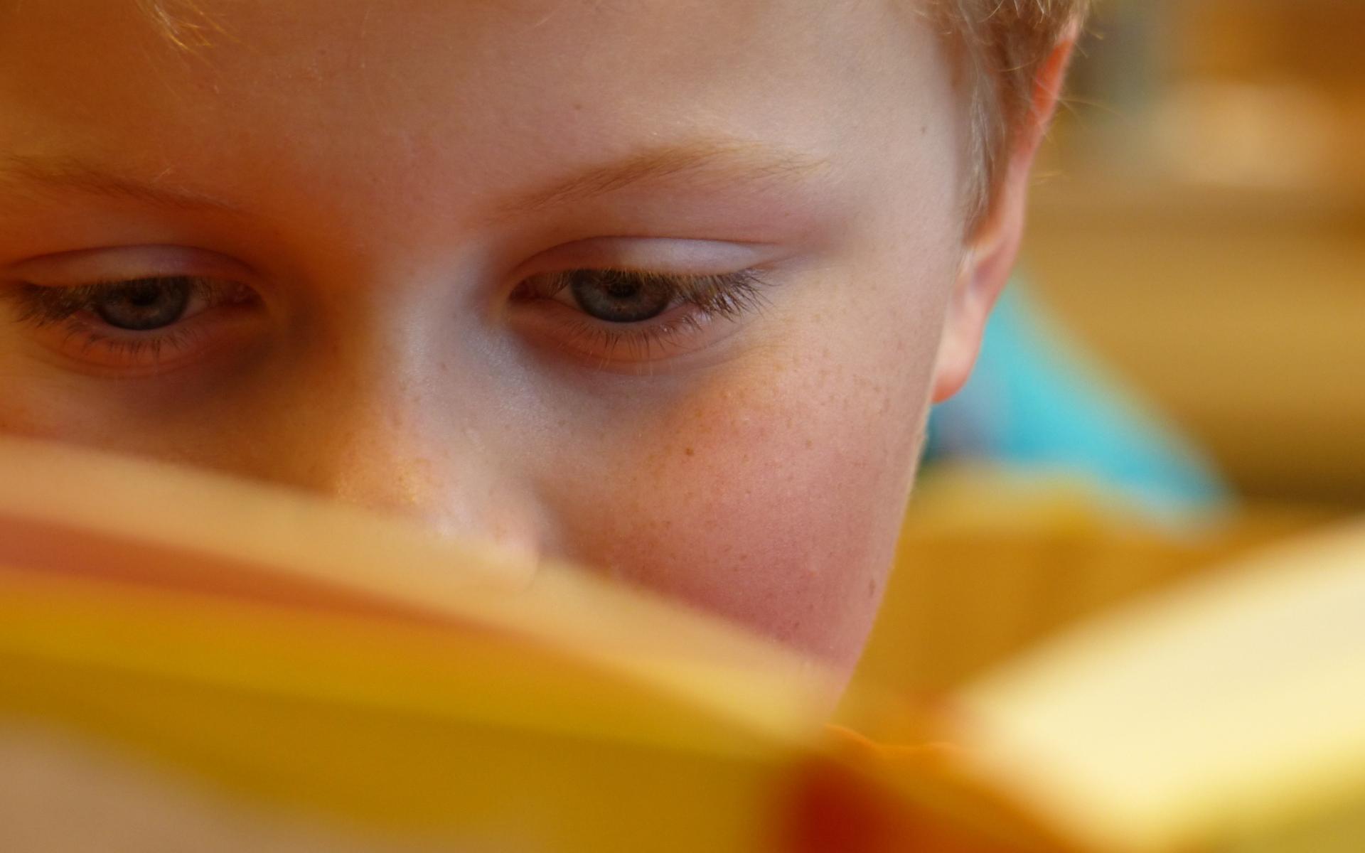 Bub liest ein Buch. Buch verdeckt das halbe Gesicht.